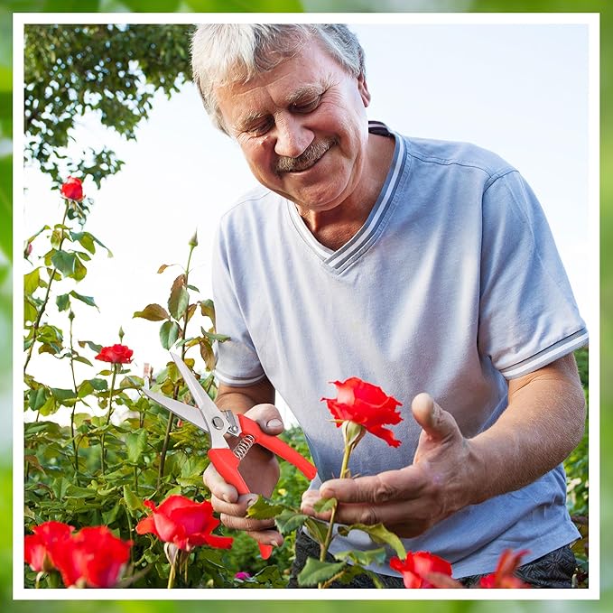 Chumia 30 Pcs Garden Flower Shears Pruning Scissors Heavy Duty Plant Scissors Trimming Garden Clippers Hand Tree Pruner for Yard Gardening Plants Hedge Flower Tree Cutting Secateurs (Orange)
